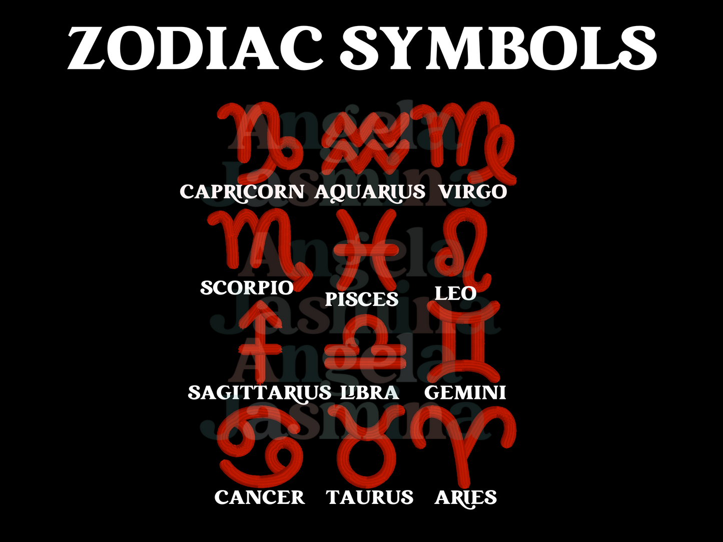 Zodiac Puff Embroidered Hoodie